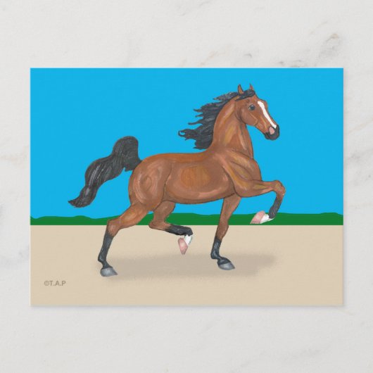 Trotted American Saddlebred Postcard Postkarte (Vorderseite)