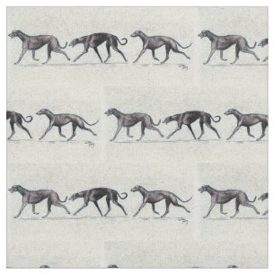 Trottel Greyhounds Hund Kunstwerk Stoff