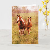 Trottende Pferde, Geburtstag Karte (Gelbe Blume)