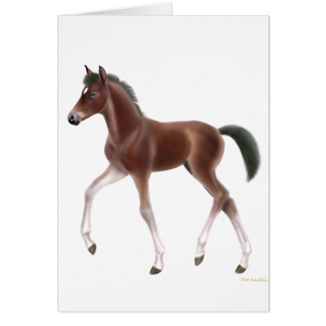 Trottenfohlen-Karte (Vorne)