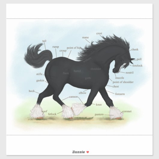Trotting Black Shire Horse Equine Anatomie Chart Aufkleber (Blatt)