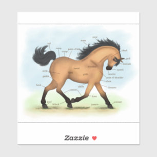 Trotting Buckskin Horse Anatomy Chart Educational Aufkleber