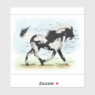 Trotting Piebald Overo Paint Horse Anatomic Aufkleber