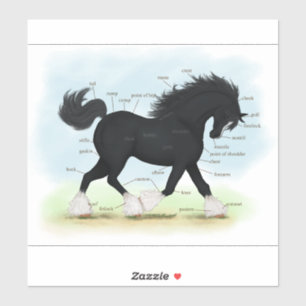 Trotting Shire Horse Reittier-Anatomie Aufkleber