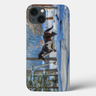 Trottoire Pinto Paint Stallion & Winter Snows Case-Mate iPhone Hülle
