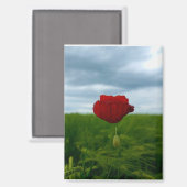 Trotz allem rot – Rote Mohnblume Magnet (Vorderseite/Rückseite)