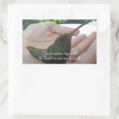 Trotzdem Lebewesen Hummingbird Rechteckiger Aufkleber (Tasche)