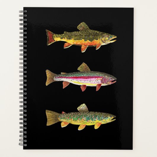 TROUT! Bach, Regenbogen, Braun. gut Planer (Vorderseite)