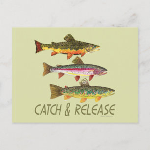 Trout Catch and Release Postkarte