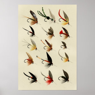 Trout Flies 174 bis 188 Vintage Poster