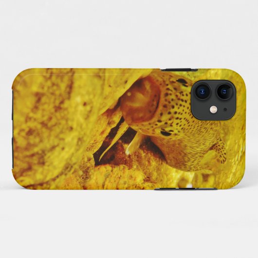 Trout in stream Case-Mate iPhone hülle (Rückseite (Horizontal))