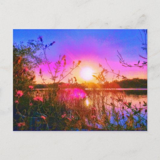 TROUT LAKE SUN POSTCARD POSTKARTE (Vorderseite)