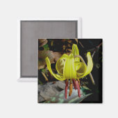 Trout Lily #1 Magnet (Vorderseite/Rückseite)