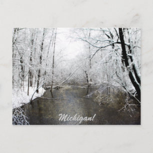 Trout River Postkarte