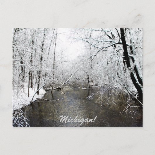 Trout River Postkarte (Vorderseite)