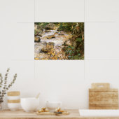 Trout Stream in Tirol von John Singer Sargent Poster (Küche)
