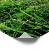 Trowulan Fields Poster (Ecke)