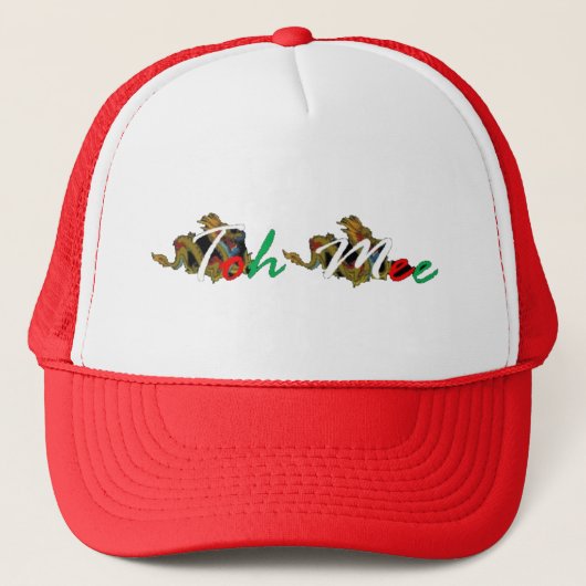 Trucker Hat Truckerkappe (Vorderseite)