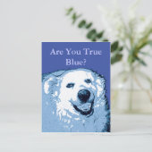 True Blue Dog Demokratische Postkarte (Stehend Vorderseite)