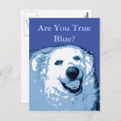True Blue Dog Demokratische Postkarte (Vorne/Hinten)