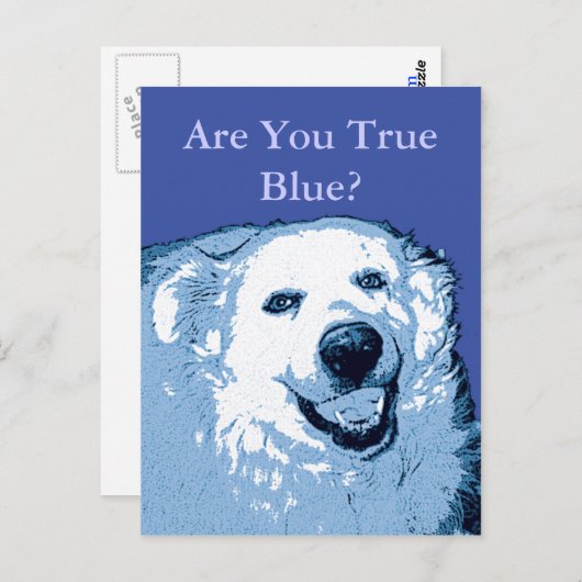 True Blue Dog Demokratische Postkarte (Vorne/Hinten)