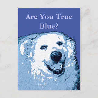 True Blue Dog Demokratische Postkarte