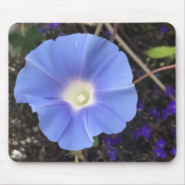 True Blue Morning Glory Close-up Mousepad