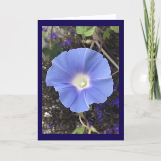 True Blue Morning Glory Karte (Vorderseite)
