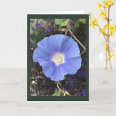 True Blue Morning Glory Karte (Gelbe Blume)