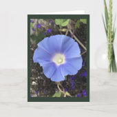 True Blue Morning Glory Karte (Vorderseite)