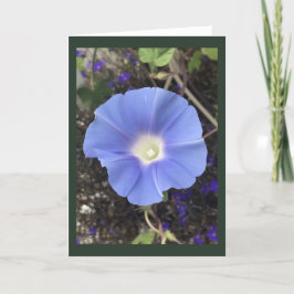True Blue Morning Glory Karte