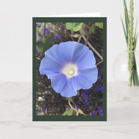 True Blue Morning Glory Karte (Vorderseite)