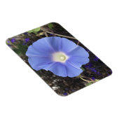 True Blue Morning Glory Magnet (Rechte Seite)