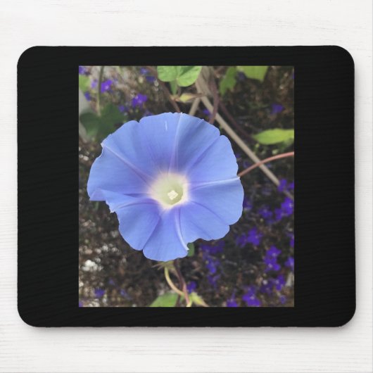 True Blue Morning Glory Mousepad (Vorne)