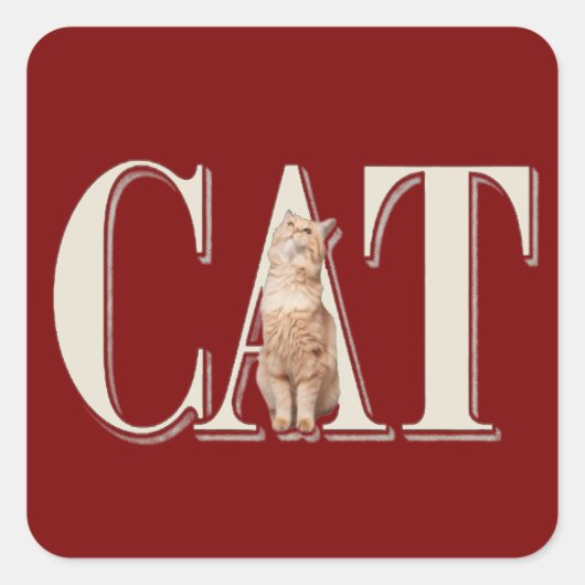 True Cat Liebe Quadratischer Aufkleber (Vorderseite)