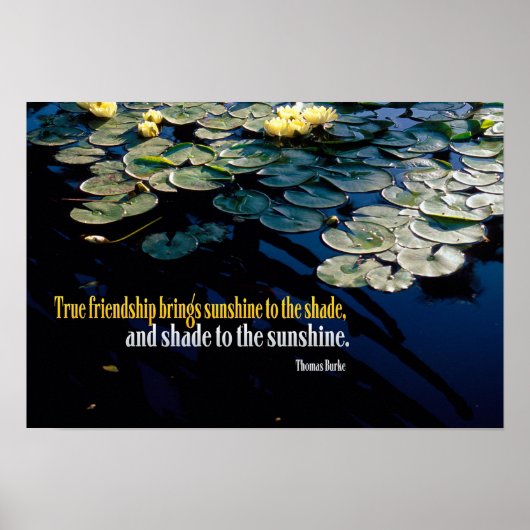 True Friendship Poster (Vorne)