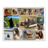 True Knight Belgium Tervuren Hund/Welpenkalender Kalender (Titelbild)