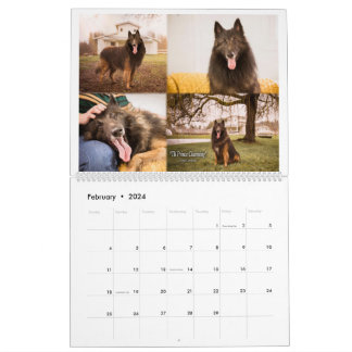 True Knight Belgium Tervuren Hund/Welpenkalender Kalender