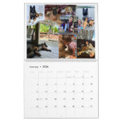 True Knight Belgium Tervuren Hund/Welpenkalender Kalender (Jan 2026)