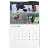 True Knight Tervuren Welppy Review Calendar 1 Kalender (Feb 2026)