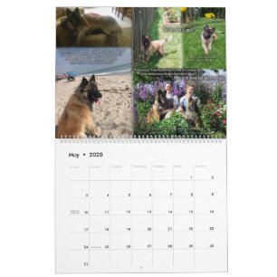 True Knight Tervuren Welppy Review Calendar 1 Kalender