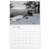 True Knight Tervuren Welppy Review Calendar 1 Kalender (Jan 2026)