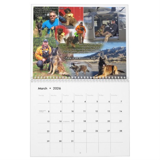 True Knight Tervurens Welppy Rezensions Kalender (Mär 2026)