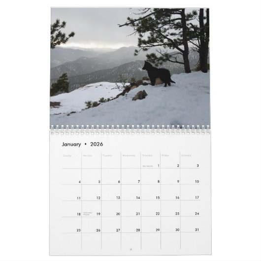 True Knight Tervurens Welppy Rezensions Kalender (Jan 2026)