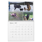 True Knight Tervurens Welppy Rezensions Kalender (Feb 2027)
