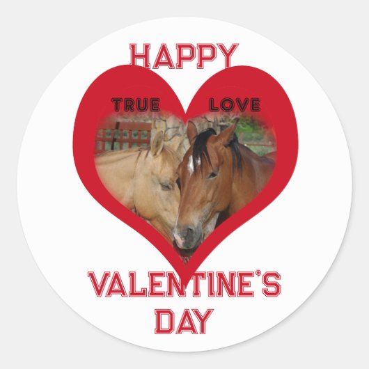 True Love Horses Conversation Heart Valentine Runder Aufkleber (Vorderseite)