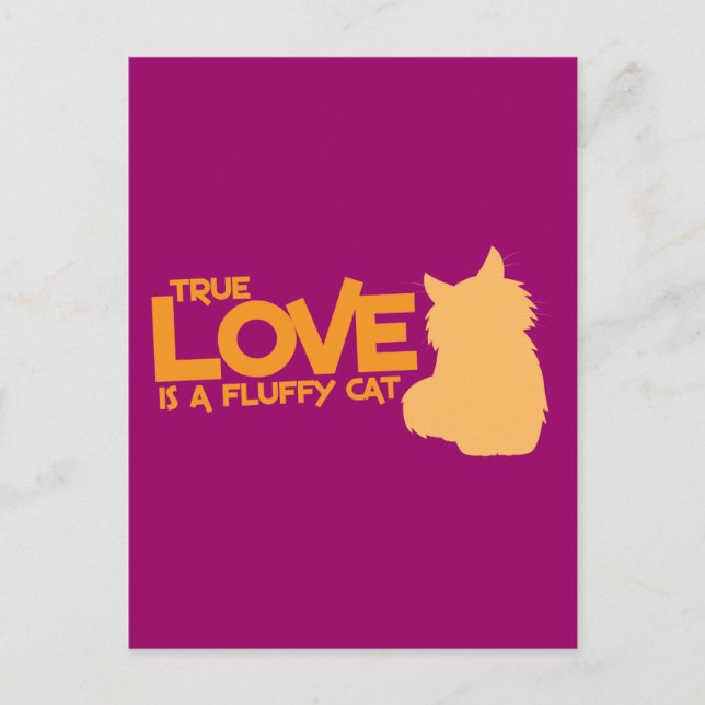 TRUE LOVE ist eine flauschige Katze Postkarte (Vorderseite)