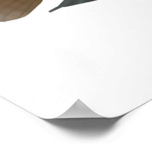 True Parrot Cichlid Poster (Ecke)