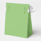 True Pistachio Green Geschenkschachtel (Rückseite)