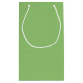 True Pistachio Green Kleine Geschenktüte (Rückseite)